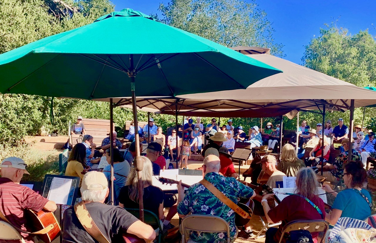 Festival Hammered Dulcimer Focus